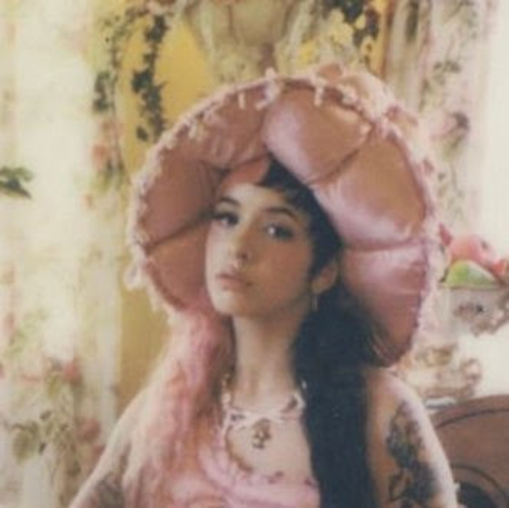 Meet your Posher, Kitty